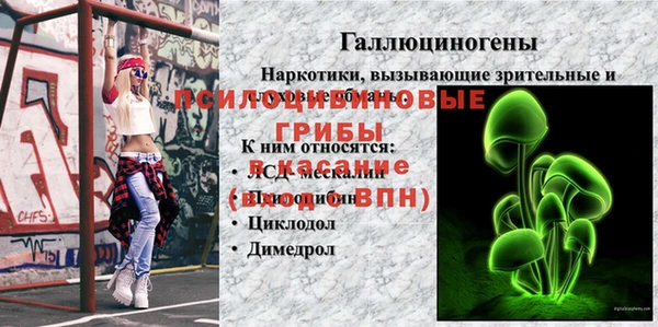СК Беломорск