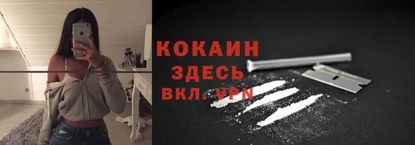 ПСИЛОЦИБИНОВЫЕ ГРИБЫ Белоозёрский