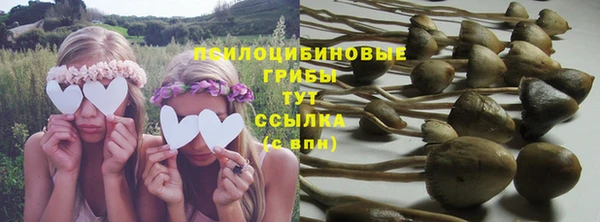 СК Беломорск