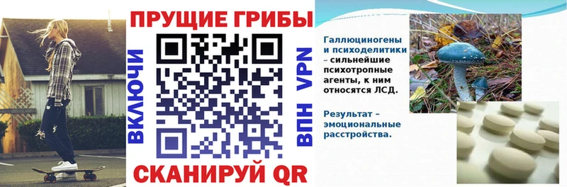 блэк спрут как зайти  Демидов  Псилоцибиновые грибы Magic Shrooms 